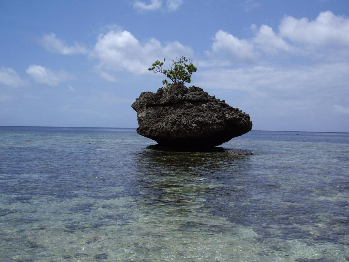 Island Time Guest Room Flying Fish Cove Esterno foto